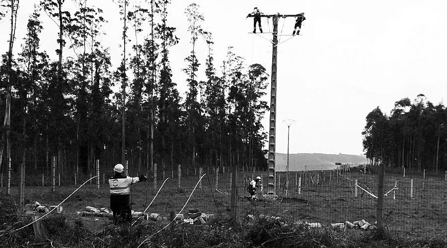 Trabajadores de ISOTRON realizando tareas de reaparación en líneas de zonas rurales